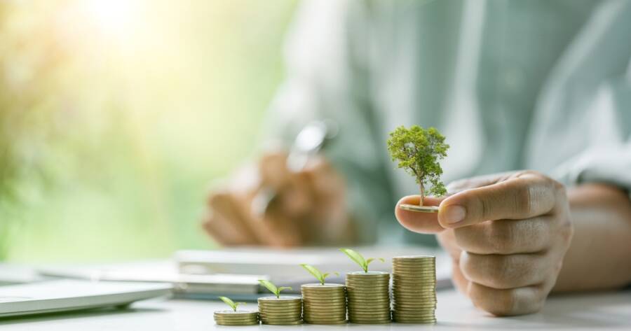 A Beginner’s Guide to Investing and Building Wealth